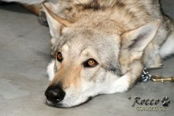 IMG_0119.jpg