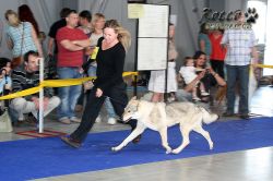 IMG_0126.jpg