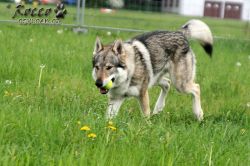 IMG_0191.jpg
