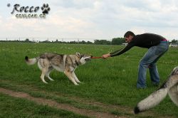 IMG_0200.jpg