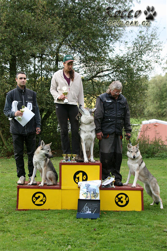 Stupně vítězů Přebor ČSV 2012