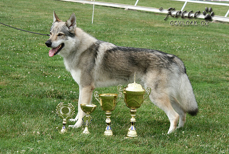 Veron z Molu Es s trofejemi